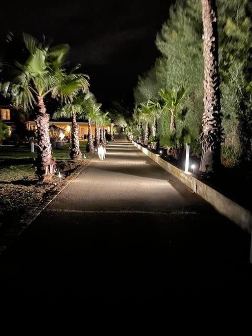 Grande Villa St-Tropez Area Avec Piscine Chauffee جاسّا المظهر الخارجي الصورة